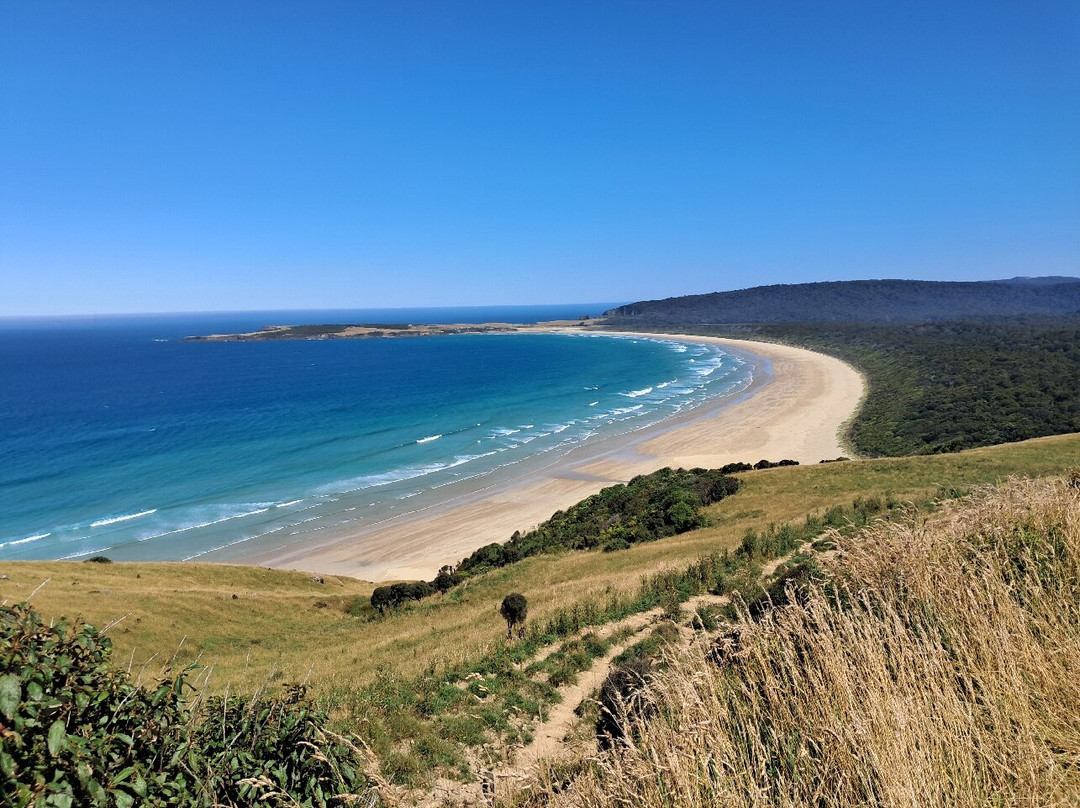 Catlins Tours景点图片