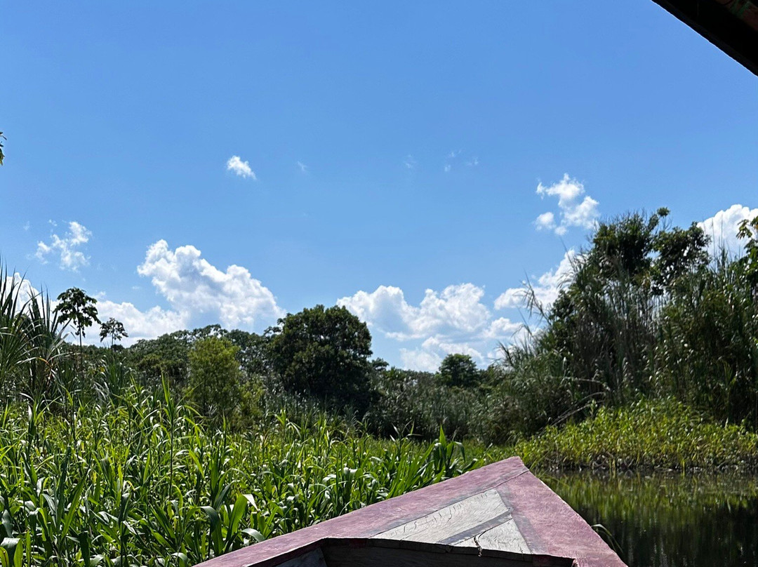 Padrecocha Tours-伊基托斯必去景点