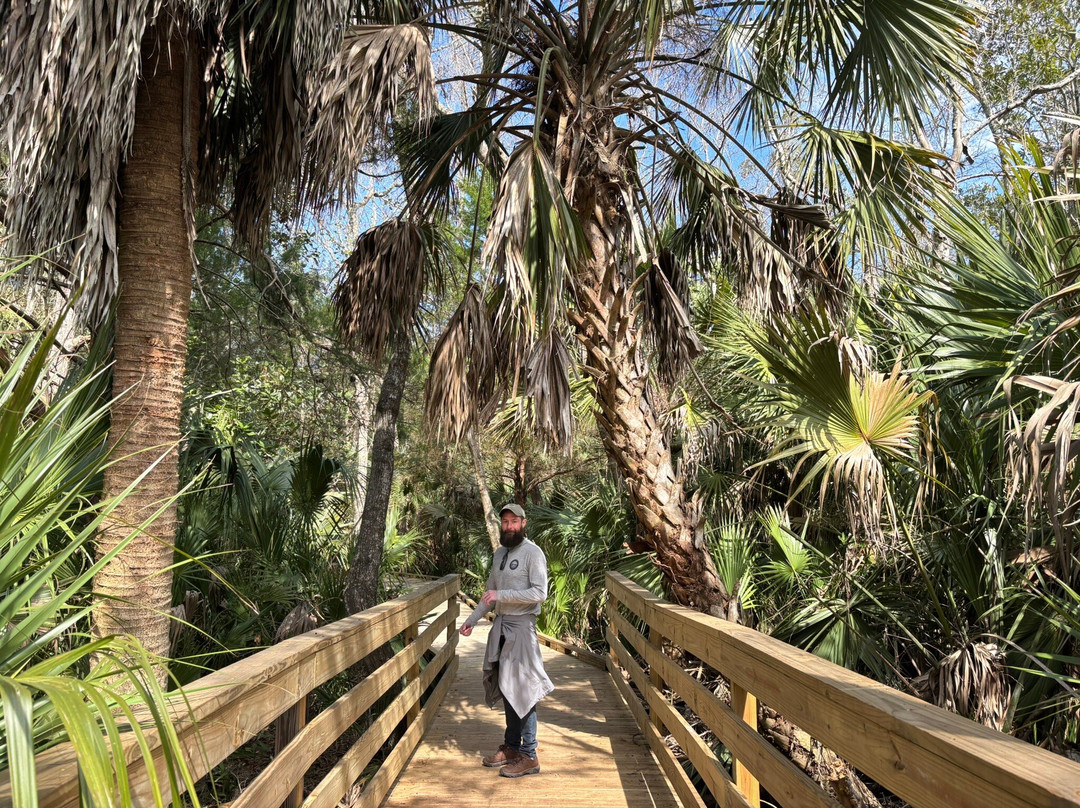 Scipio Creek Boardwalk景点图片