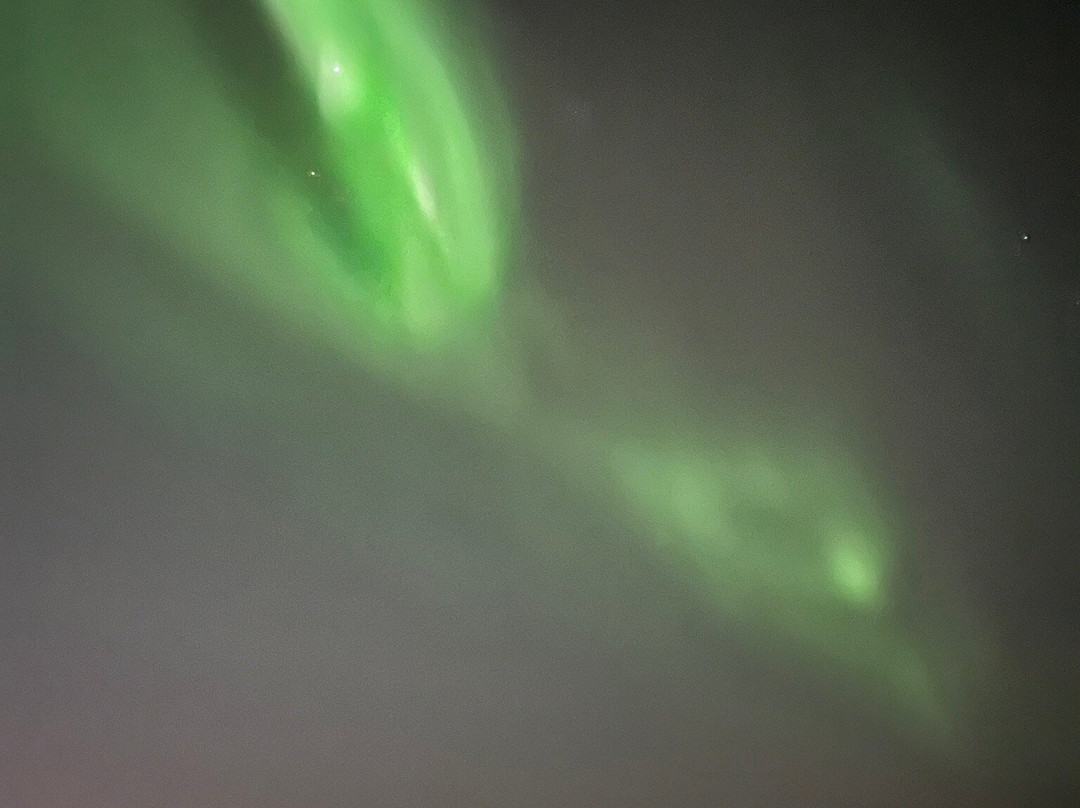Elding Adventure At Sea - Reykjavik-雷克雅未克必去景点
