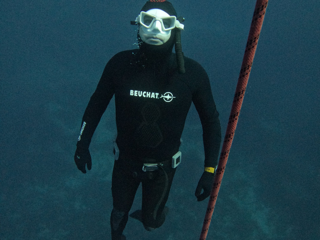 Apnea Total Malta - Freediving School-圣保罗湾城必去景点