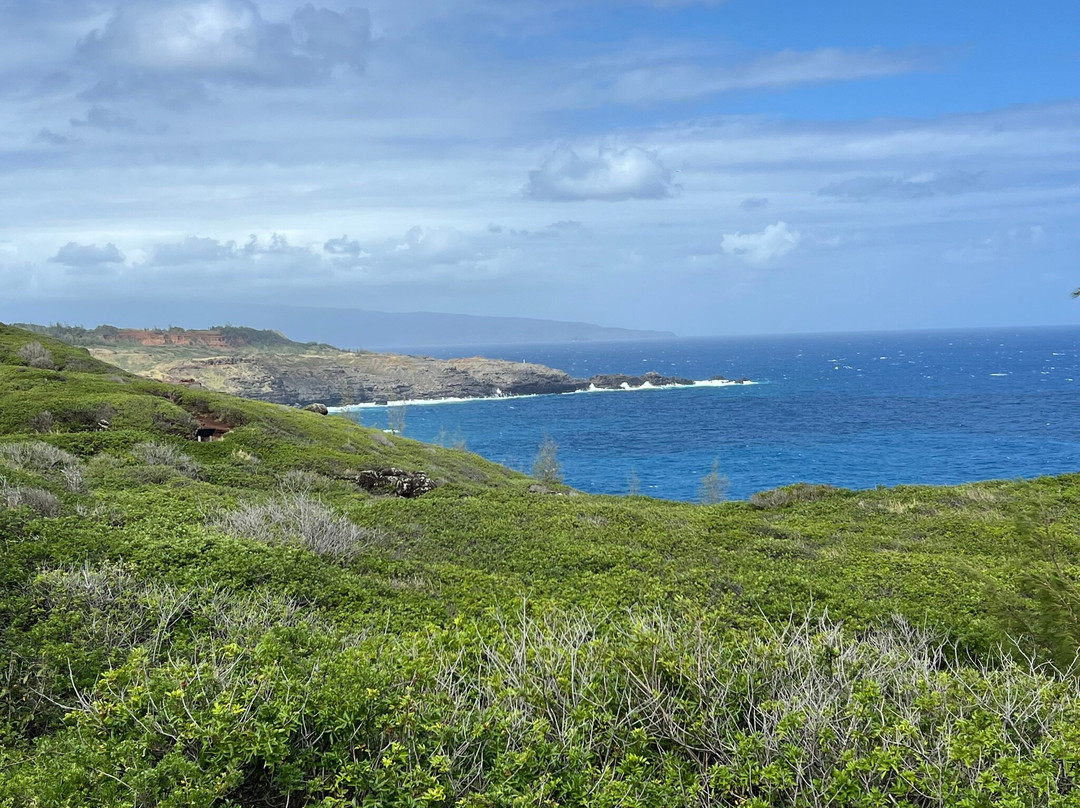 Ohai Loop Trail and Overlook景点图片