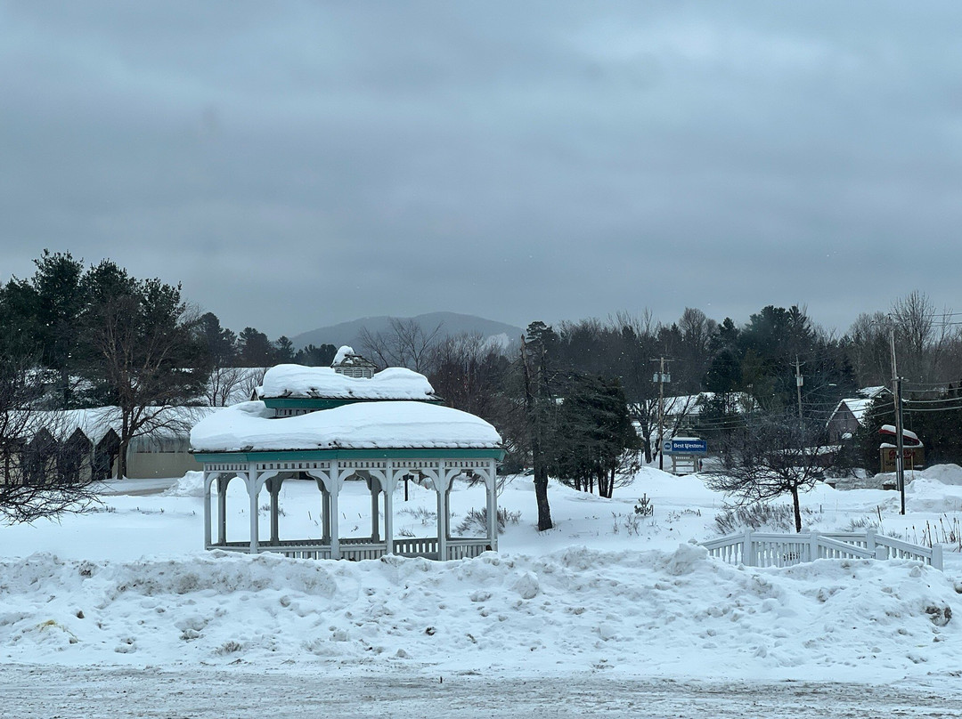 Saraplacid Inn & Suites主图