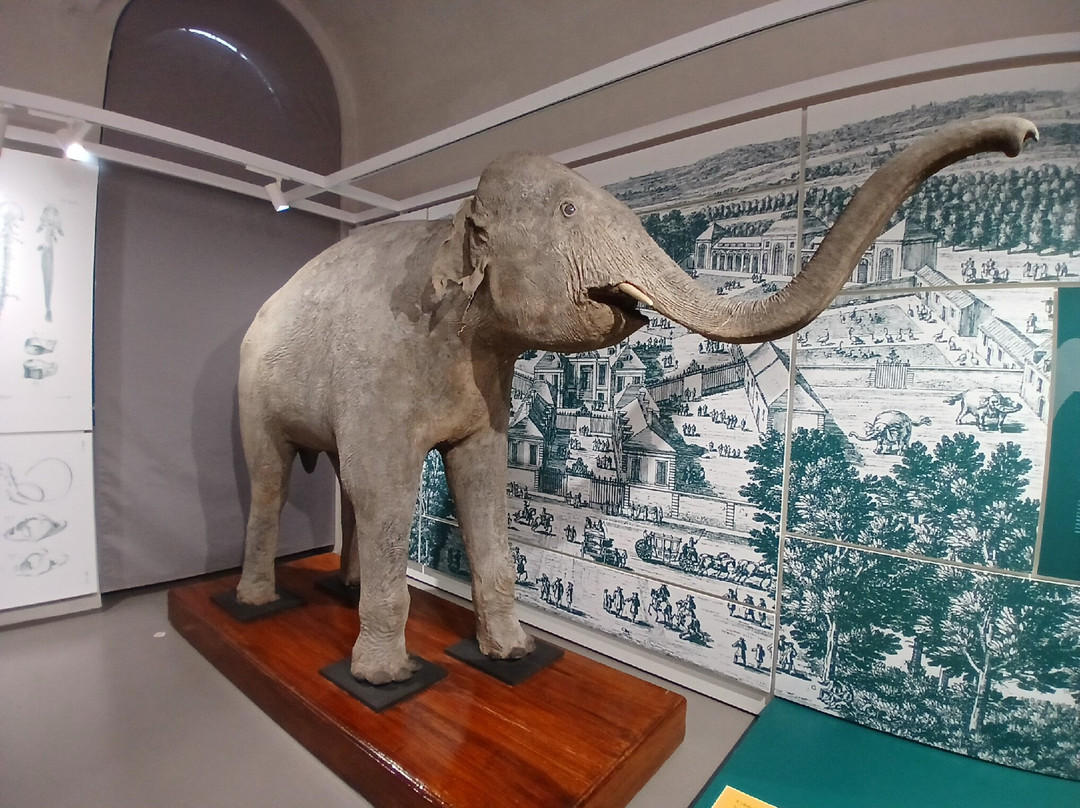 Kosmos - Natural History Museum-帕维亚必去景点