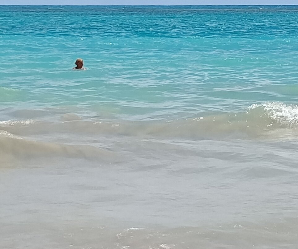 Campas Beach-Tamandare必去景点