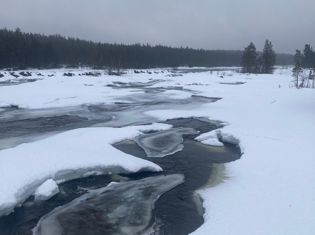 Openlappland-Amsele必去景点