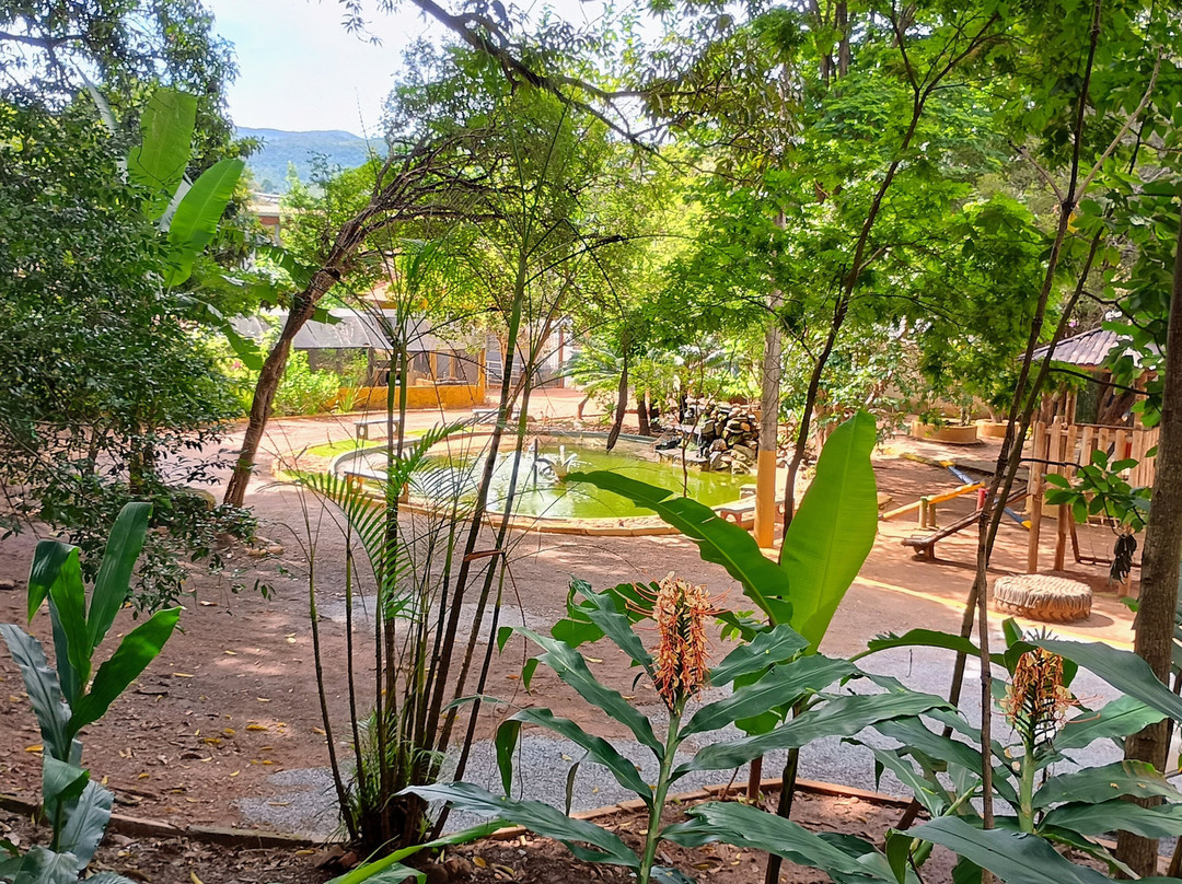 Bosque Municipal De Sábara景点图片