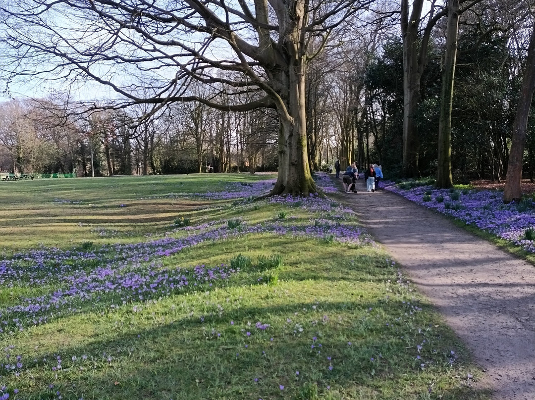 Rufford Old Hall景点图片