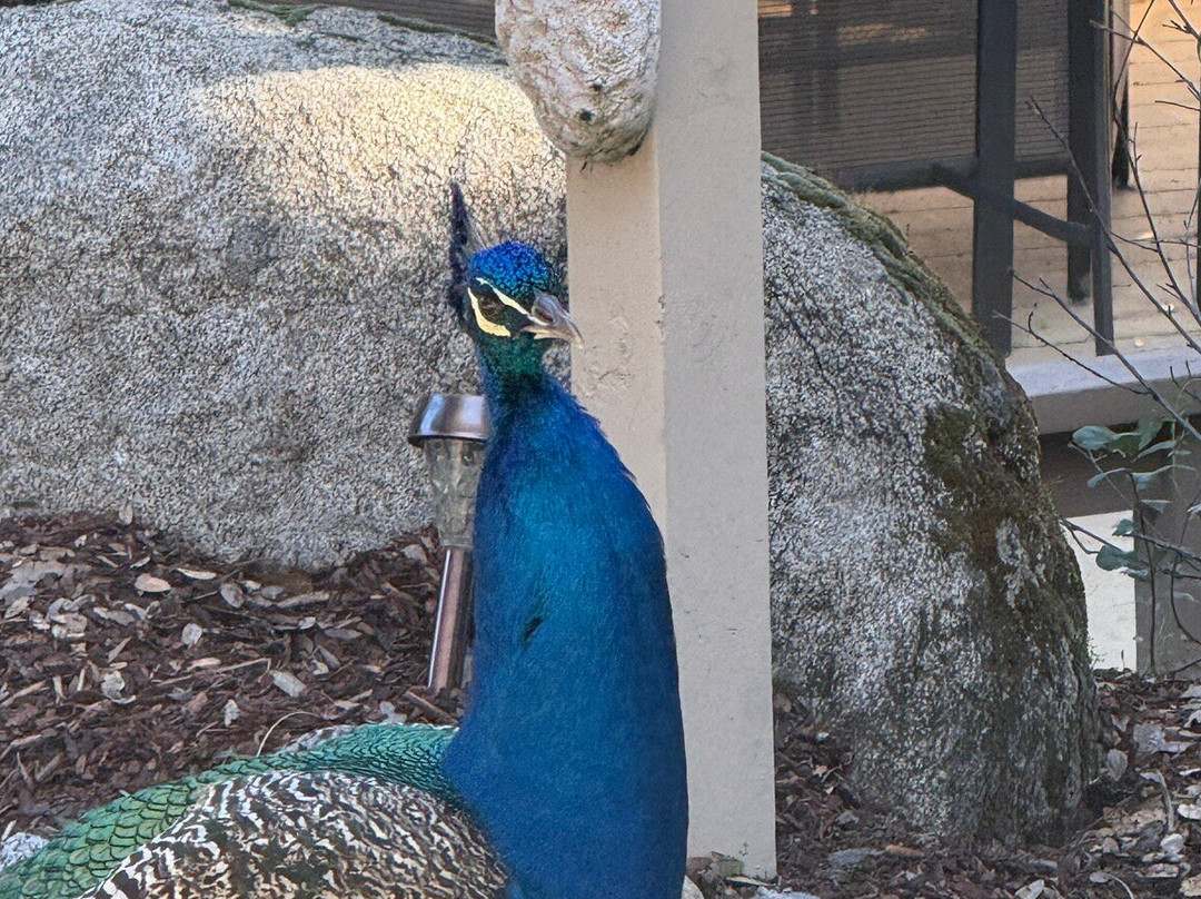 Bella Vista Bed & Breakfast Inc.主图