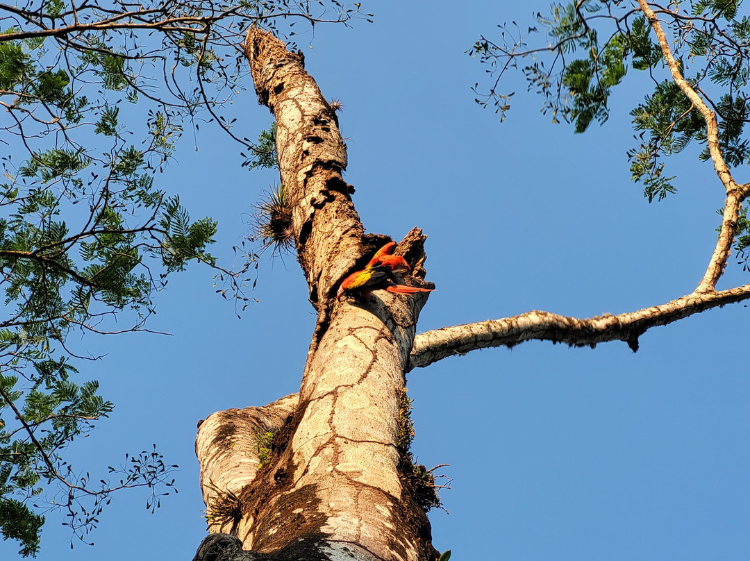 Pura Vida Gardens and Waterfalls-哈科必去景点