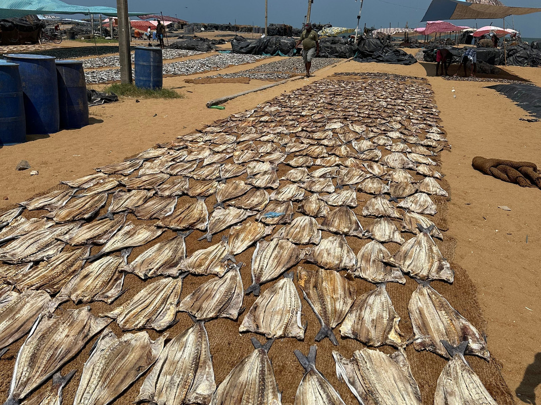 Angurukaramulla Temple-尼甘布必去景点
