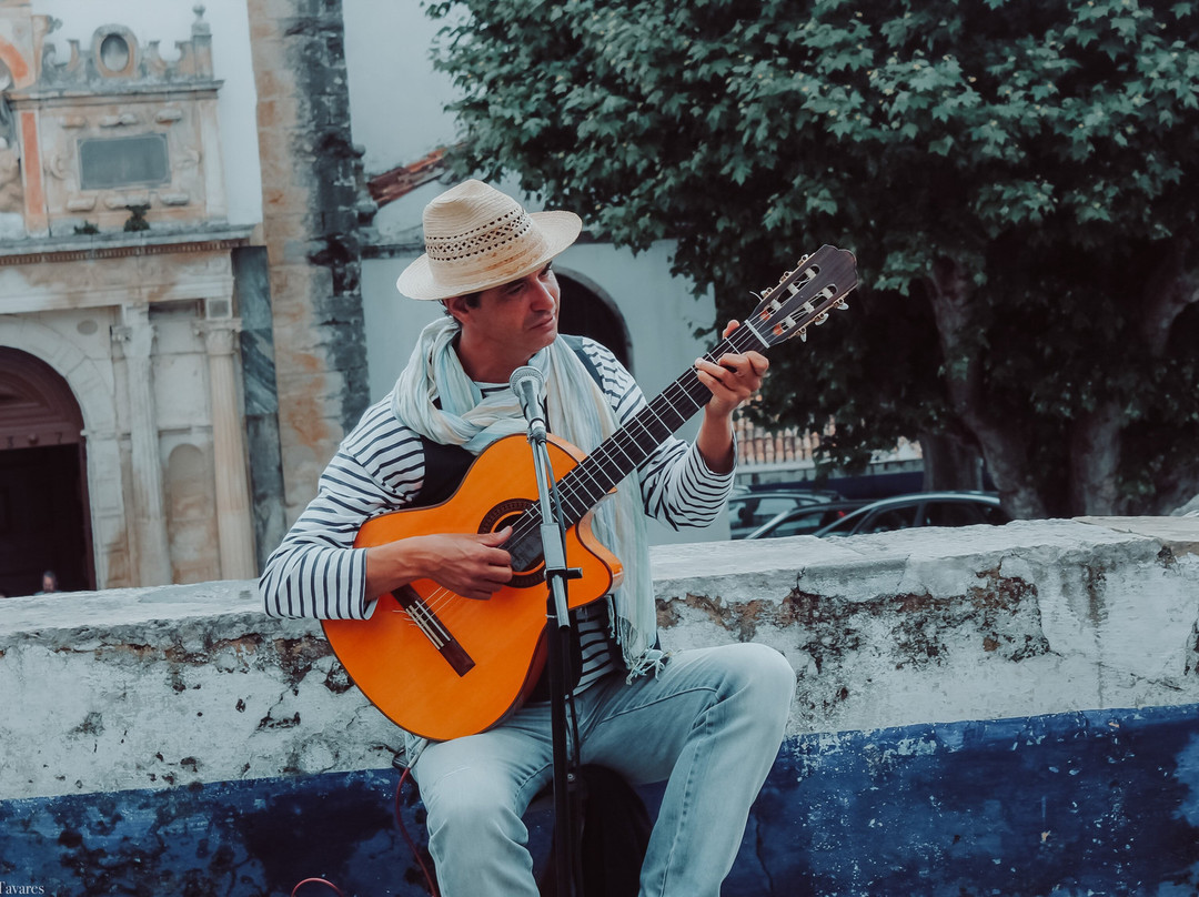 Discover Arrábida景点图片