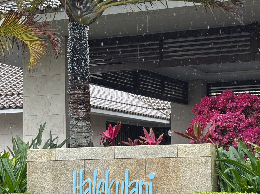 Halekulani Okinawa主图