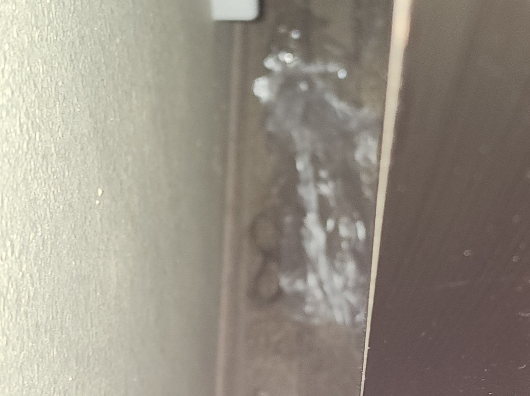 Baymont by Wyndham Springfield主图