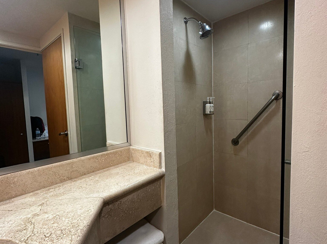 Holiday Inn Orizaba by IHG主图