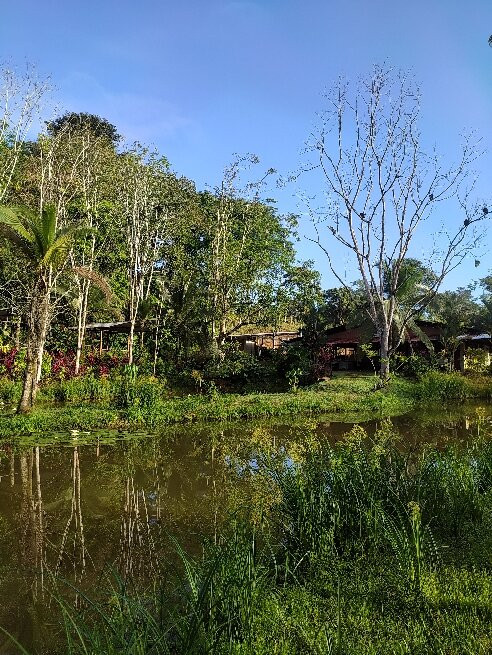 Finca Sura景点图片