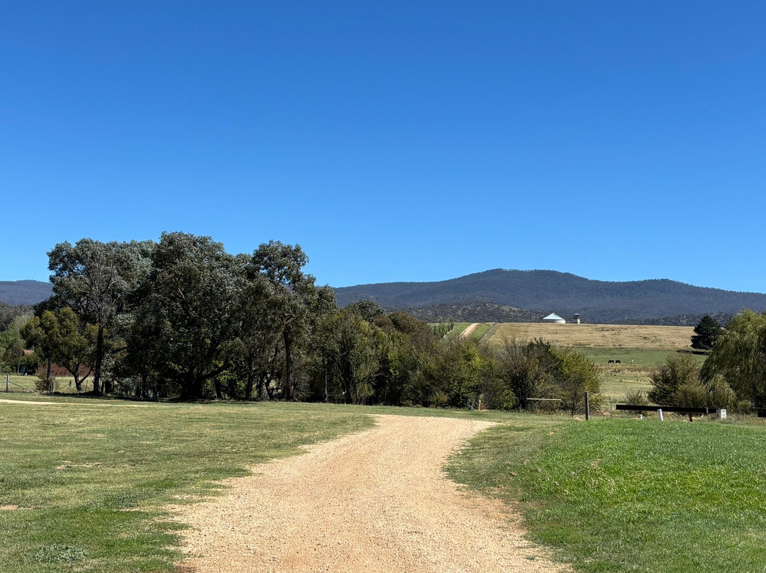 Bredbo Inn Hotel主图