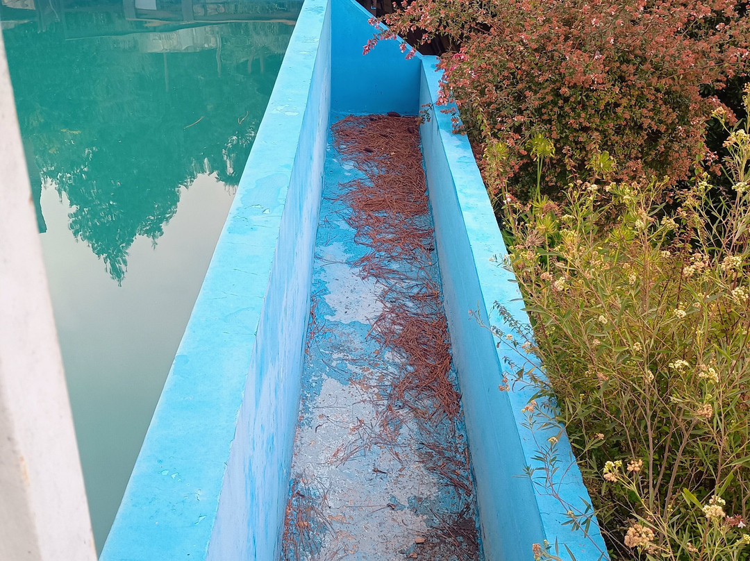 Peñón del Aguila-La Cumbrecita必去景点