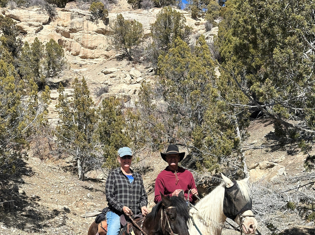 Wind in your Hair Riding-Wanship必去景点
