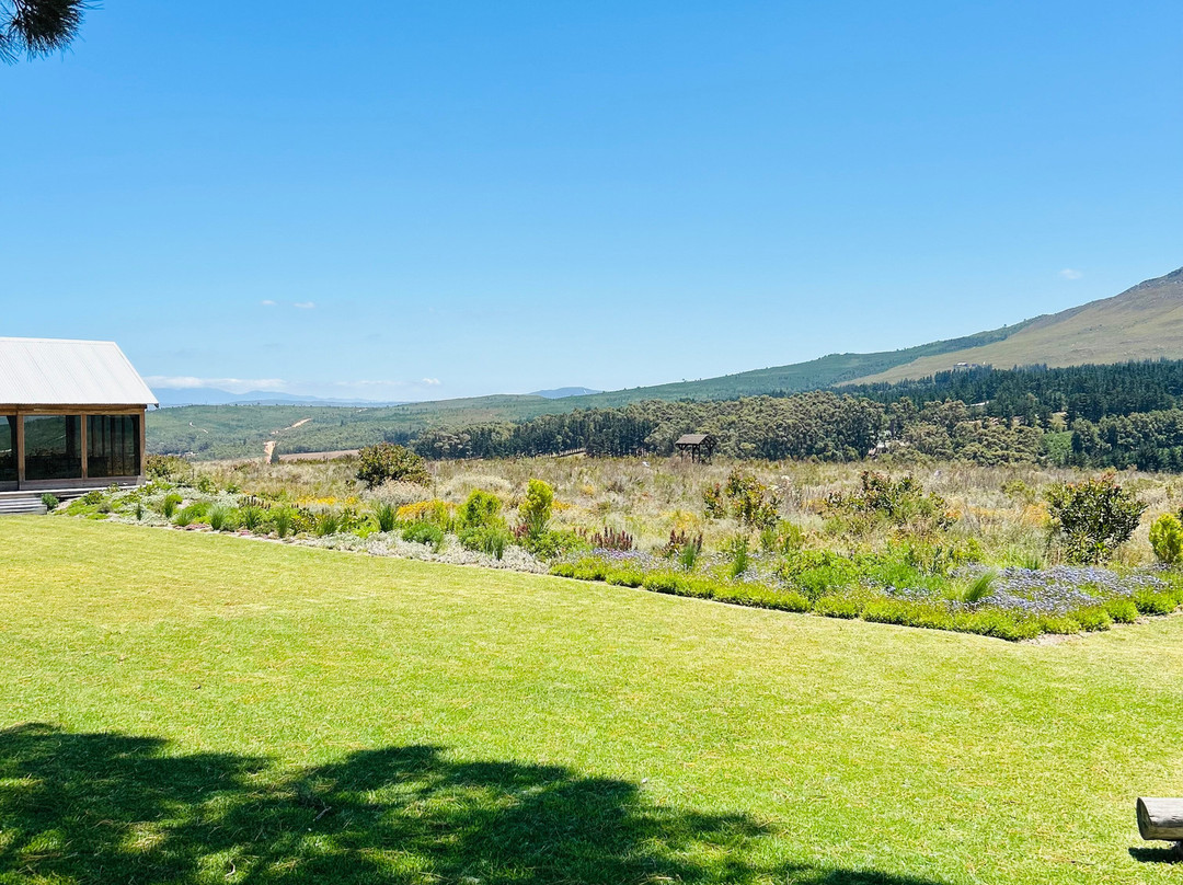 Bosman Hermanus | Frame House-赫曼努斯必去景点