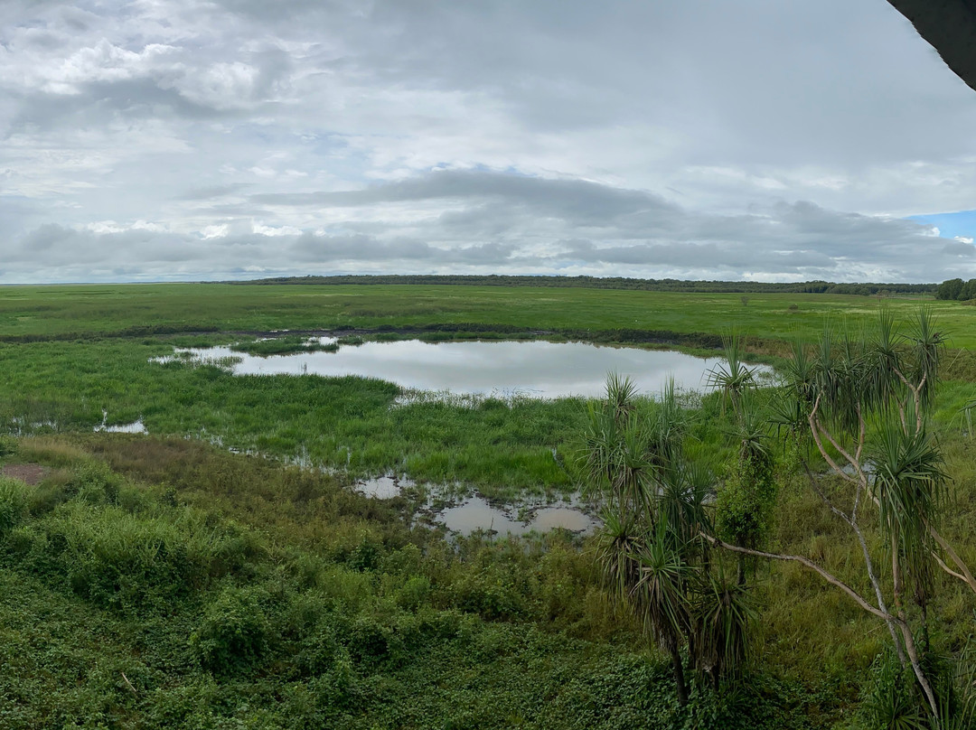 Fogg Dam Conservation Reserve景点图片