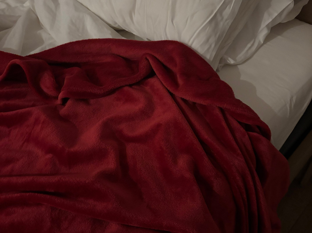 Chogogo Dive & Beach Resort Bonaire主图