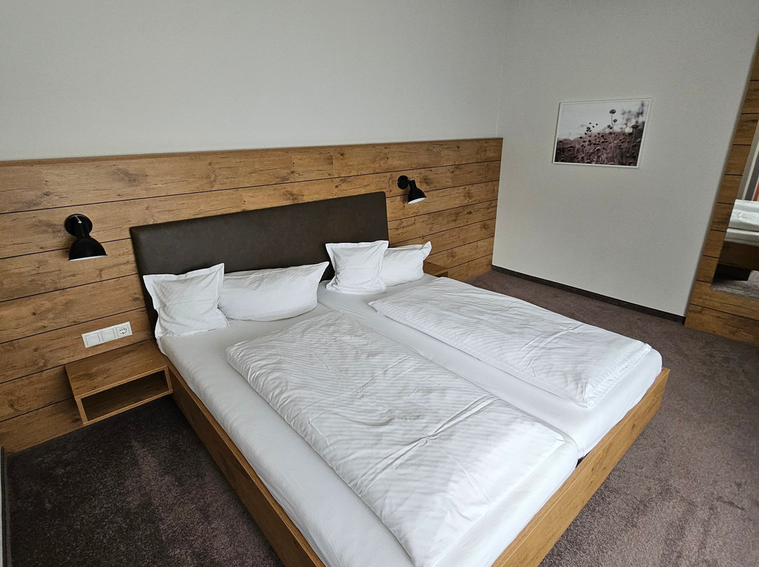 Pension Scharl主图