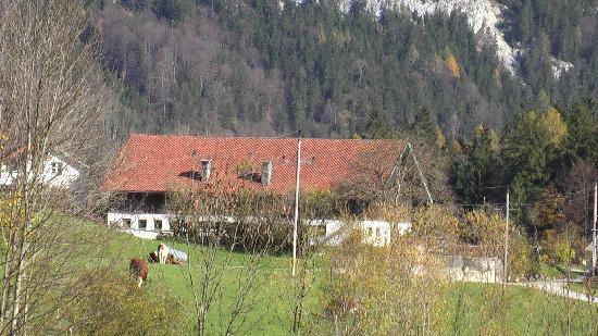 Bambichlhof-酒店景观
