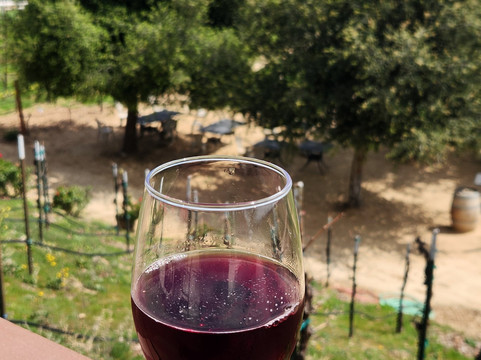 Frangipani Estate Winery-特曼库拉必去景点