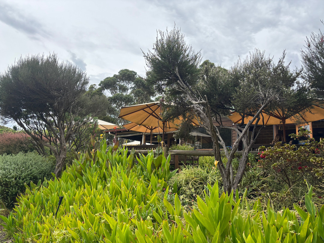 The Lake House Winery Denmark景点图片