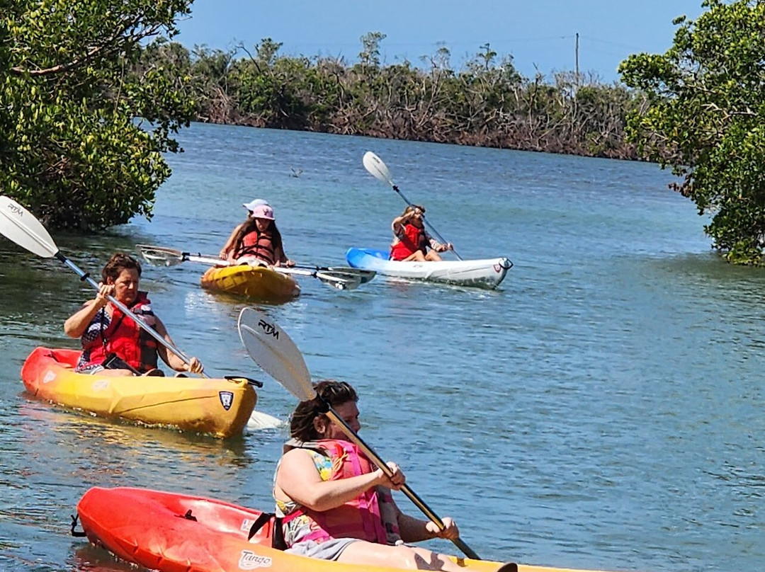SUP Englewood - Don Pedro Island Location-Placida必去景点