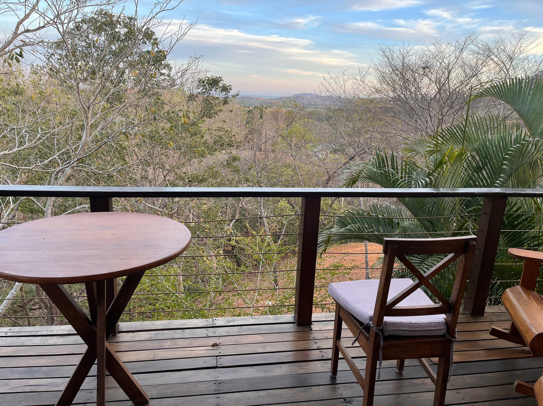 Mikado Natural Lodge主图