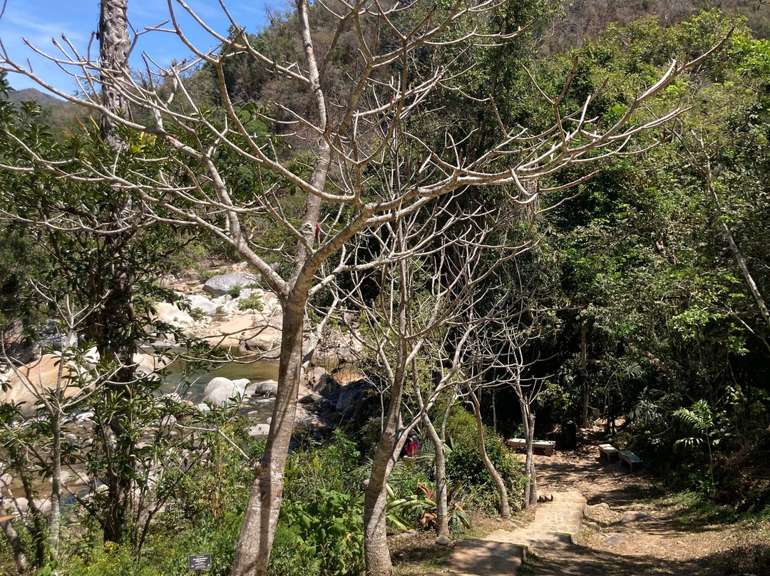 Vallerta Botanical Gardens Ac-Cabo Corrientes必去景点