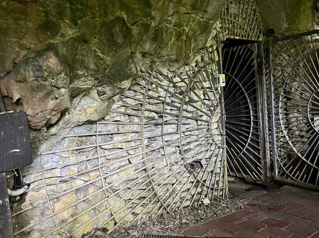 Zealandier Tours-陶兰加必去景点