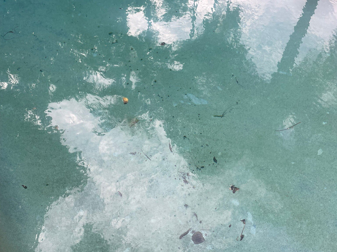 Villa Noosa Hotel主图