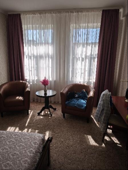 Gubernskaya Hotel-客卧