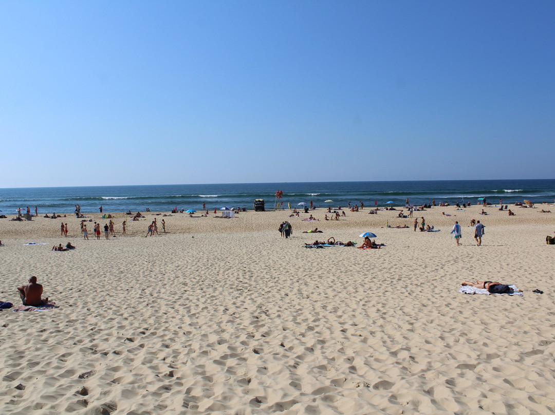 Plage de Moliets景点图片