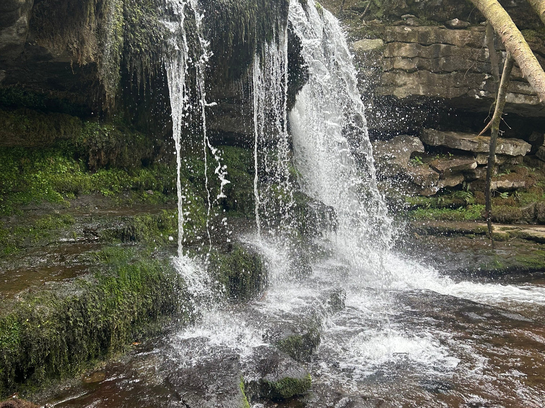 West Burton Falls景点图片