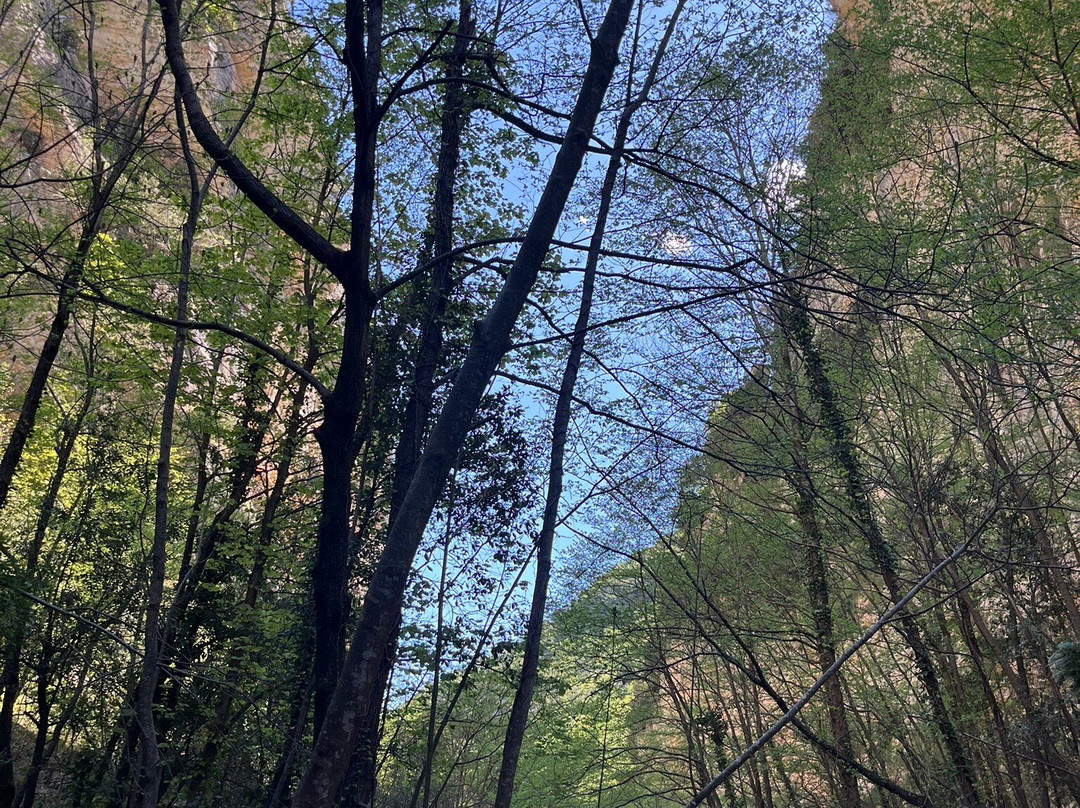 Gole del Salinello景点图片