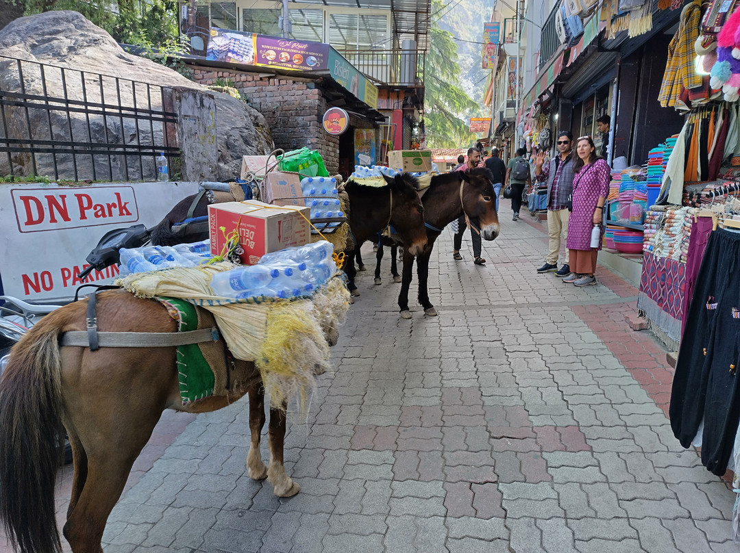 Great Xizang Tour-拉萨市必去景点