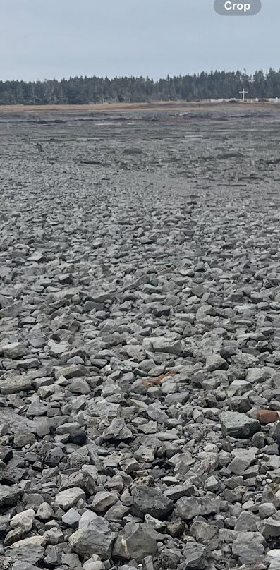 Baie Ellis Range Rear Lighthouse-Port-Menier必去景点