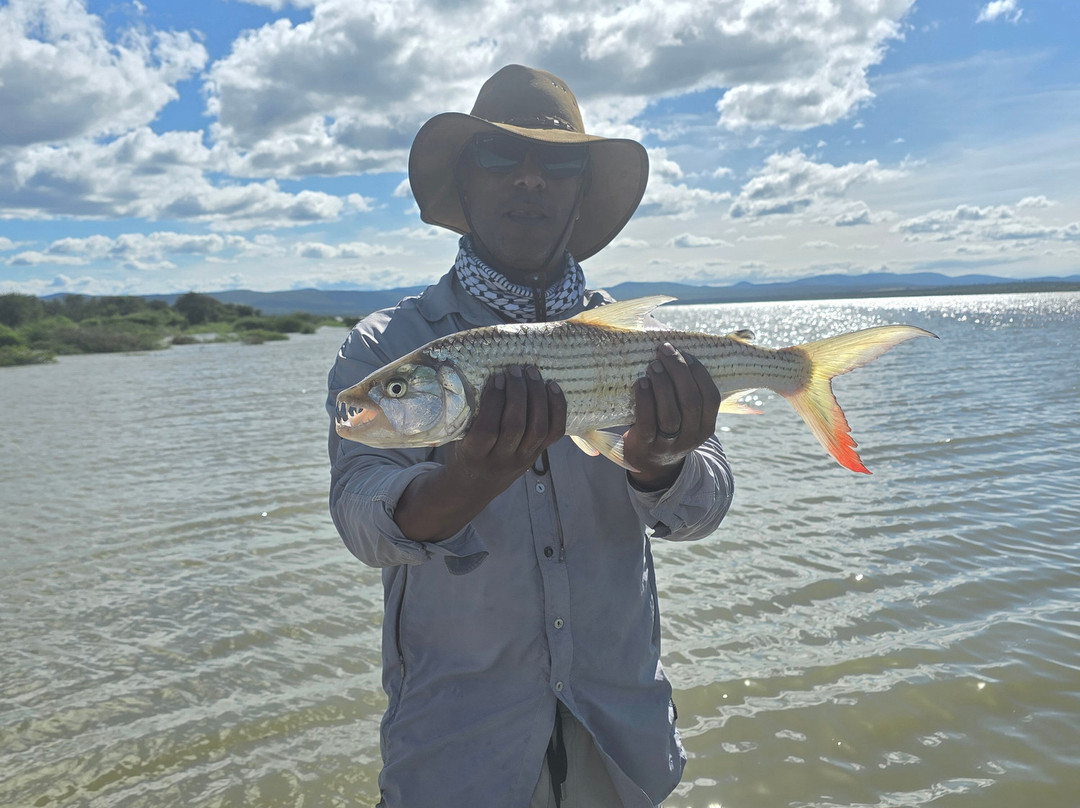 Tiger Hunters Tours & Safaris - Day Adventures-彭哥拉必去景点