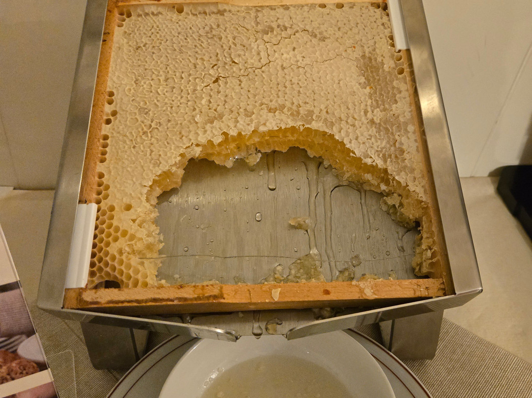 Hotel Garnì Tignale主图