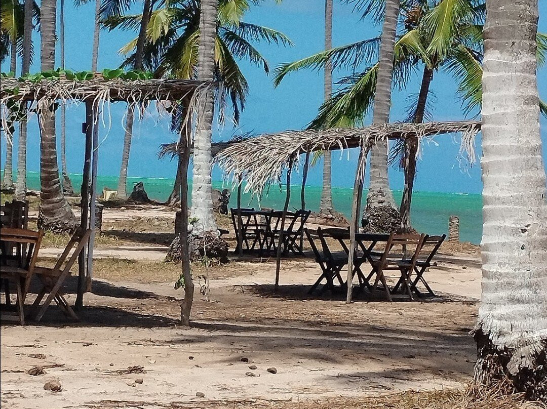 Tatuamunha Beach-Porto de Pedras必去景点