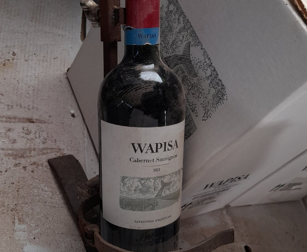 Wapisa Winery-Viedma必去景点