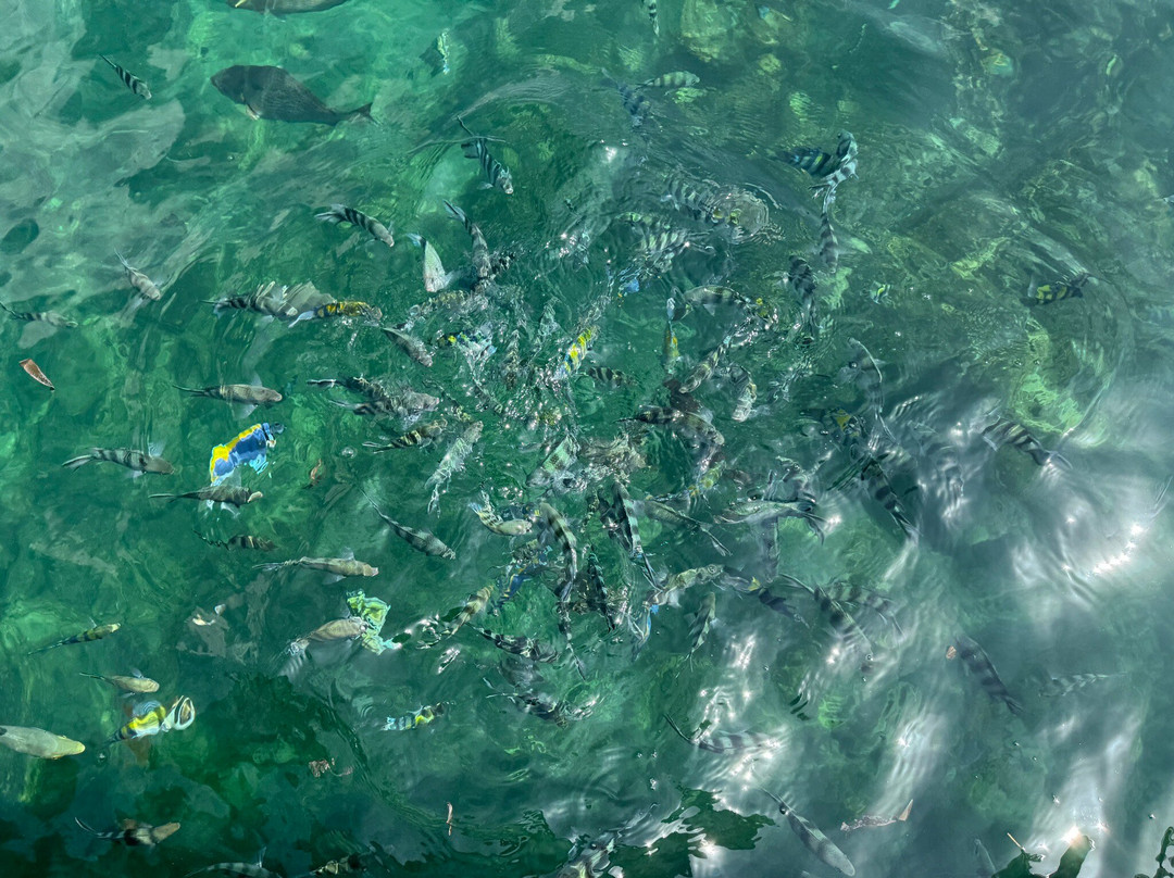 Click Safari Kenya-瓦塔木必去景点