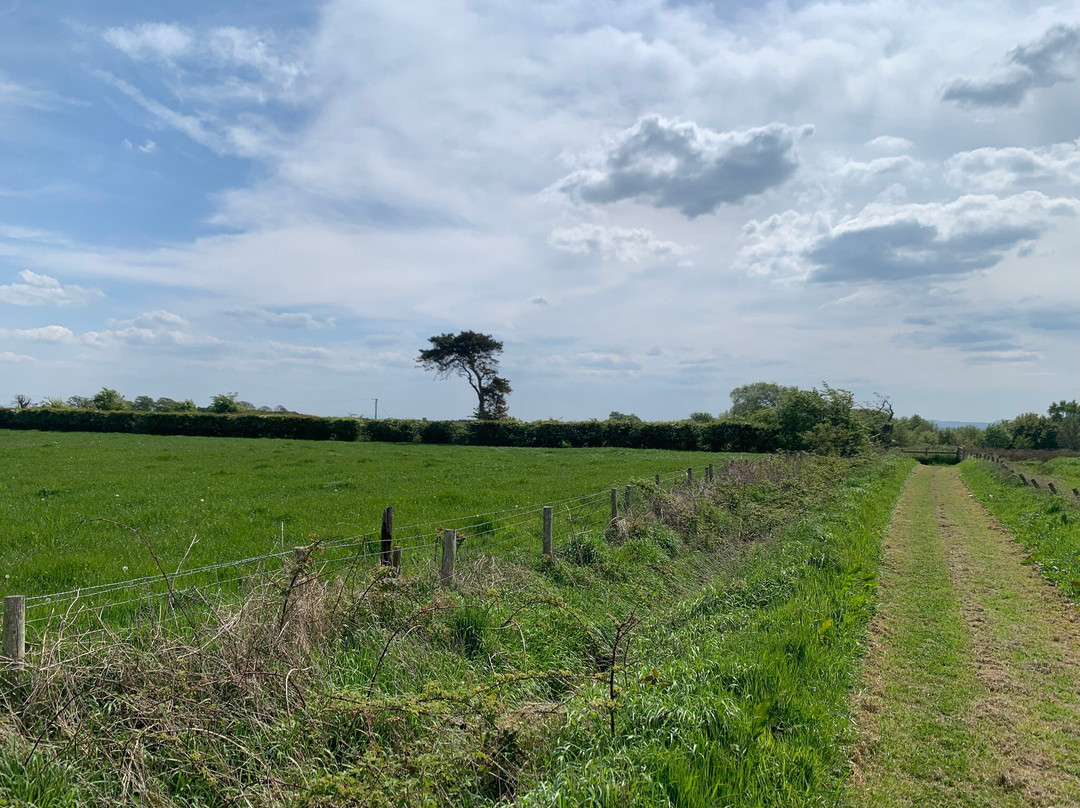 RSPB Campfield Marsh Nature Reserve-Bowness on Solway必去景点
