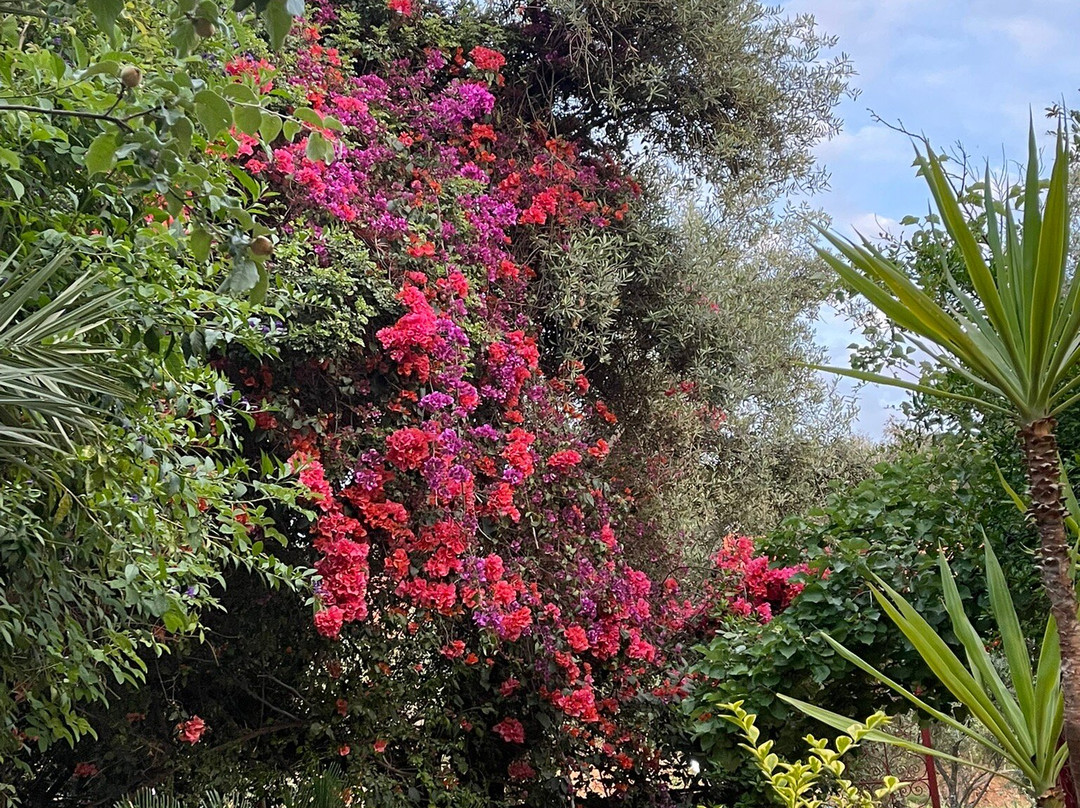 Hotel Chellal d'Ouzoud主图