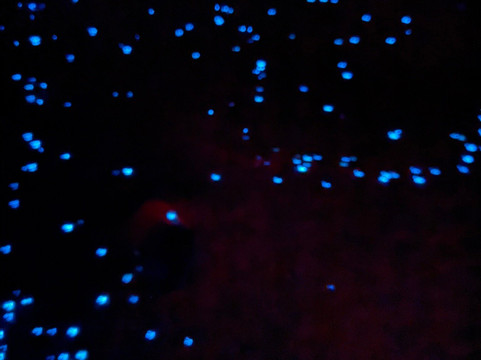 Bin Majid Tourism-马斯喀特必去景点