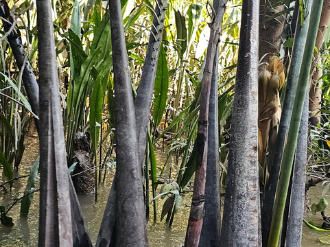 Indochina Heritage Travel-胡志明市必去景点